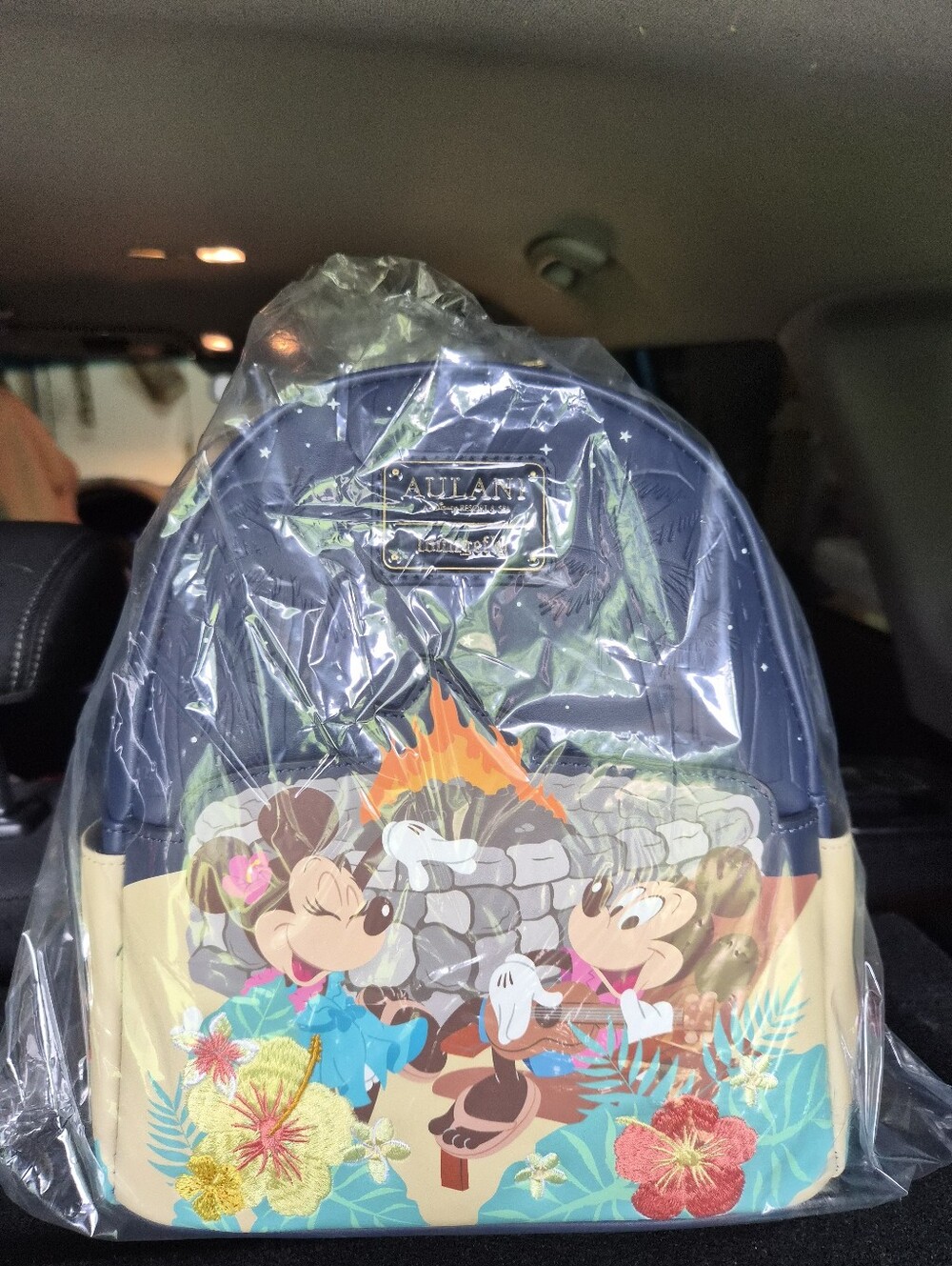 Aulani Loungefly Campfire Mini Backpack